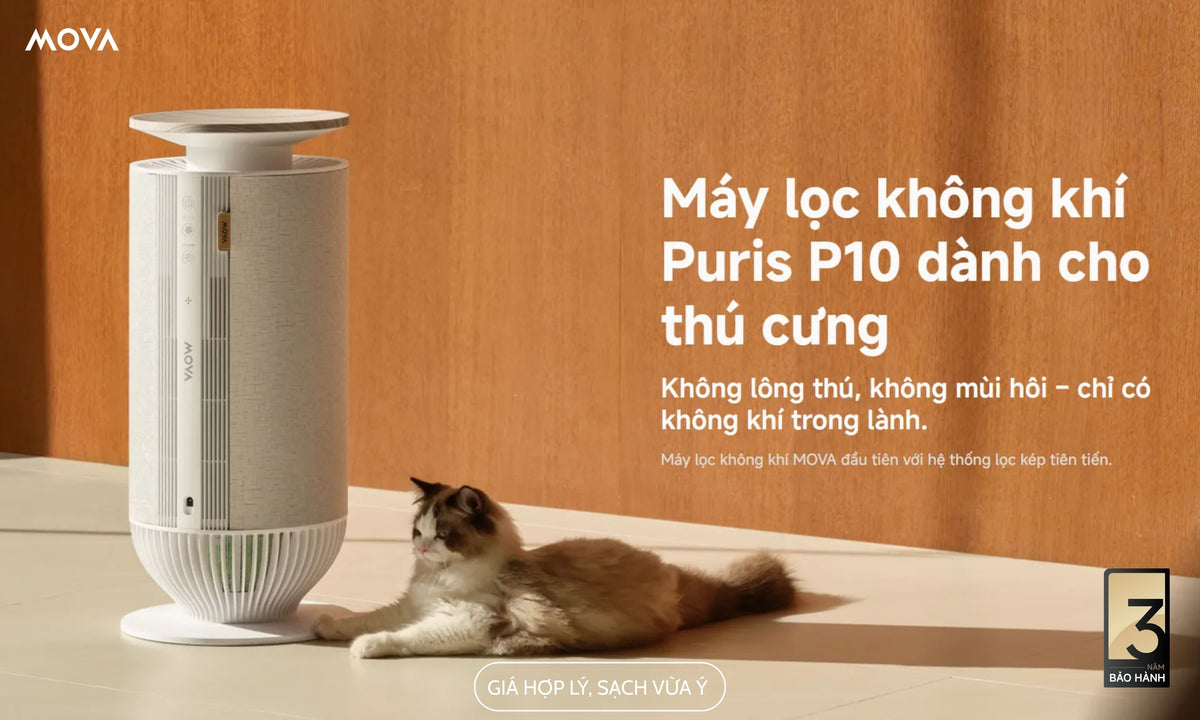 Đánh bật bụi mịn PM2.5: Tại sao MOVA Puris P10 là khoản đầu tư hợp lý hiện nay?