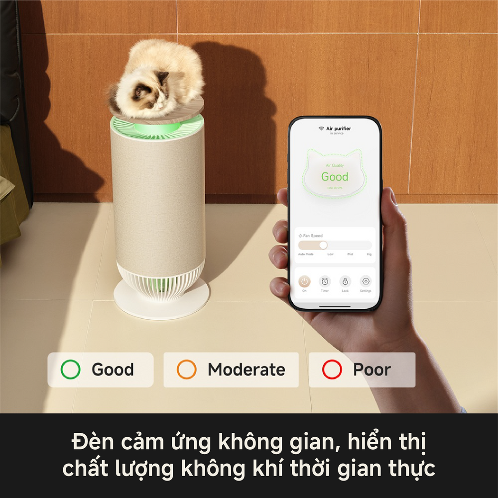 Máy lọc không khí MOVA PURIS P10